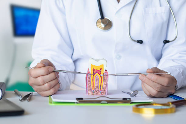 Best Emergency Root Canal Treatment in Utica, SC
